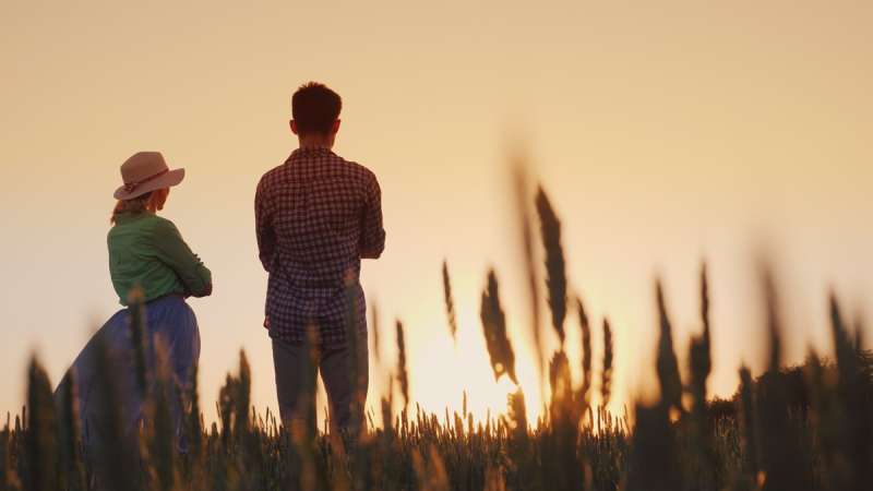 Top Tips For Your Farming Divorce