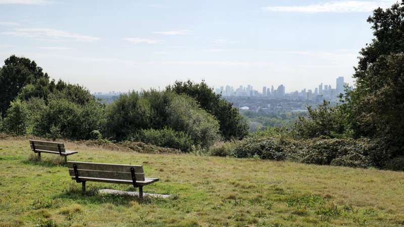 The Hampstead Heath Squatter: Claiming Ownership Through Adverse Possession